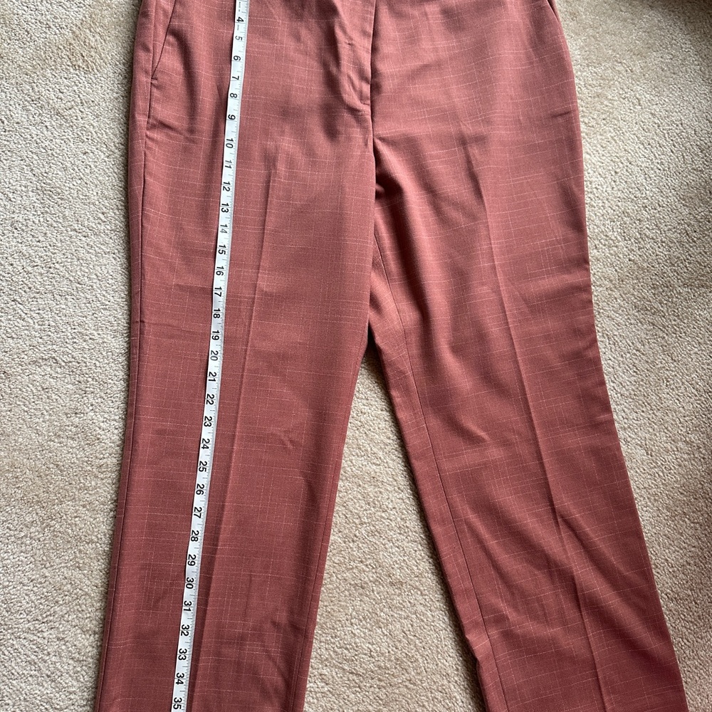 Ann Taylor Terracotta Trousers